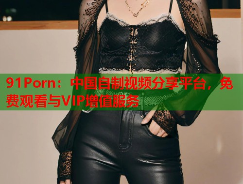 91Porn：中国自制视频分享平台，免费观看与VIP增值服务